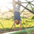 Lifetime 132'' W Steel Climbing Dome