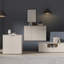 Ganymede Rectangle Accent Cabinet-127662764