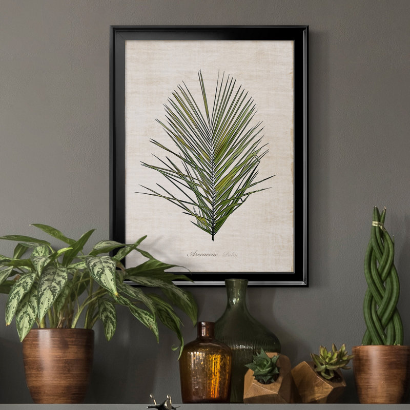 Palmier botanique I - impression, Noir, H 18,5 po x l 24,5 po x P 1,5 po