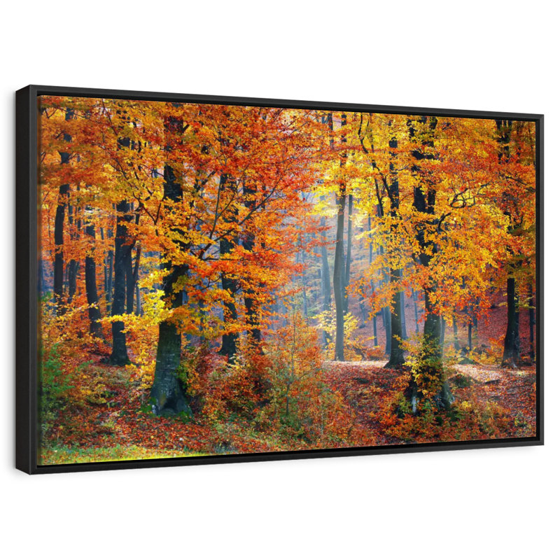 Arbres d'automne, 25 po x 17 po, Cadre flottant noir