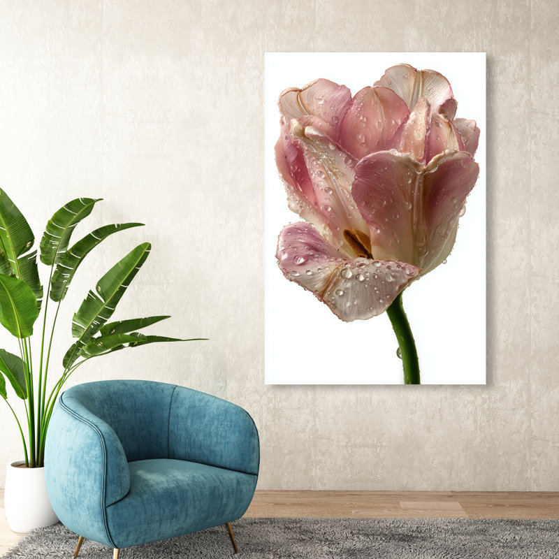 Droplet Tulip II Print by Oliver Gal, 36"H x 54"W, Gallery Wrapped
