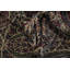 Tapis traditionnel à colorier de collection 4 x 6