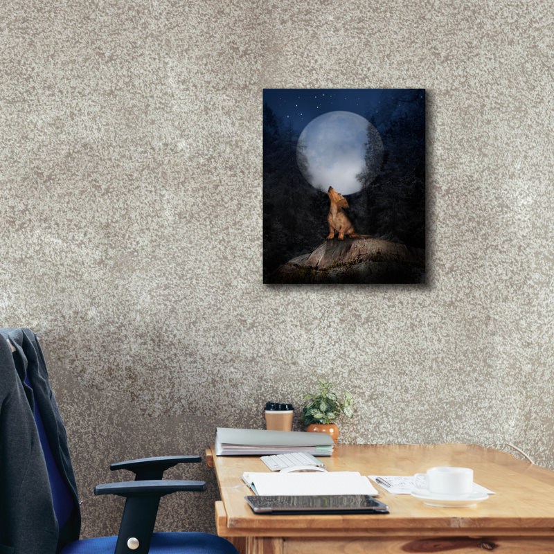 «Call Of The Wild 1» par John Hovenstine, art mural sur toile, 20 po x 24 po, H 24 po x l 20 po