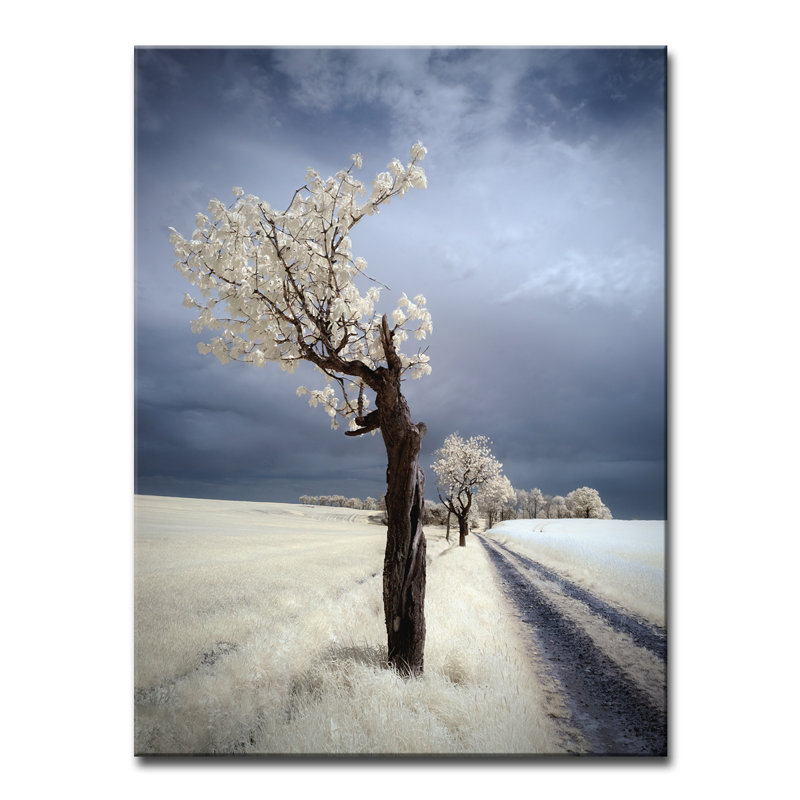 « irenka », impression sur toile, H 16 po x l 12 po x P 1,5 po