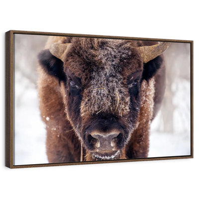 Frosty Bison