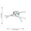 Antinarelli LED Flush Mount