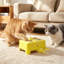 Cat Toys