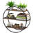 Brayville 3 Piece Circle Floating Shelf with Adjustable Shelves