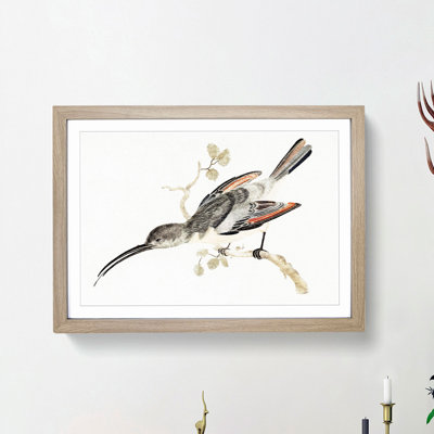 Hummingbird by Johan Teyler - Framed Print
