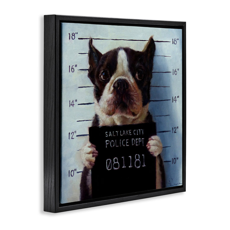 Boston Terrier Jail reconnu coupable Mugshot, H 18 po x l 18 po, Cadre flottant noir de jais