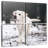 Brampt Labrador Retriever-109037527