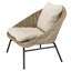 Alisyn Outdoor Lounge Chair