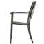 Fauteuil de salle à manger Aldarcie