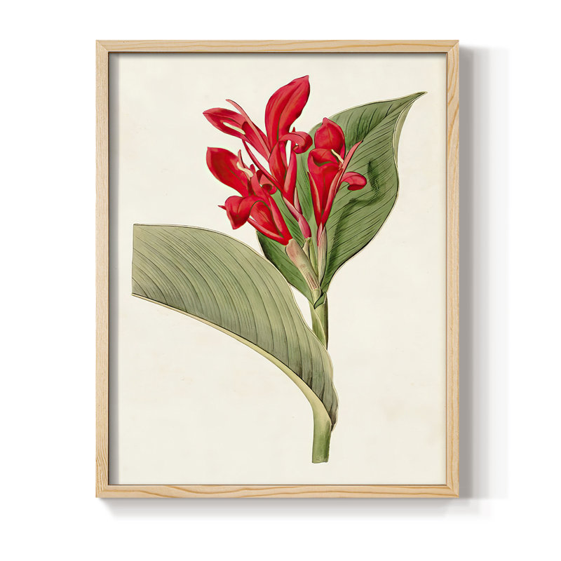 FloraOfTheTropicsIV Framed Print - Solid Wood, 11" H x 9" W
