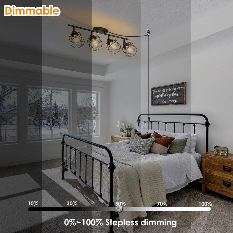 Dimmable 4 Light Plug In Ceiling Light