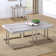Ensemble de tables basses 2 pièces Nooralam