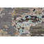 Canterbury Hand Knotted Area Rug in Brown