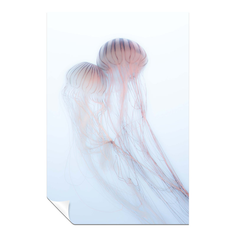 Pink Jellyfish Underwater - No Frame Print, 31cm H x 20cm W