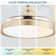 42" Retractable Ceiling fan with Light, 6-Speed Latest DC Motor Remote Control Ceiling Fan