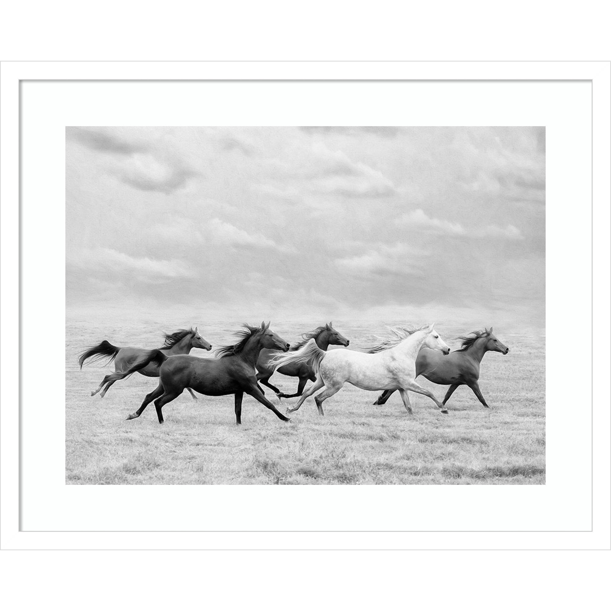 Horse Run I by PHBurchett, 20" H x 25" W, White