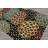 Black Hand Tufted Floral Wool Runner Multi Sizes Oriental Area Rug-418779935