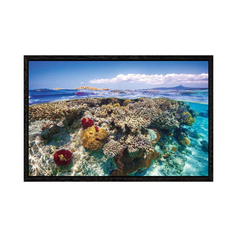 Mayotte The Reef by Barathieu Gabriel - Print on Canvas, 66.04cm H x 101.6cm W x 3.81cm D, Black Framed