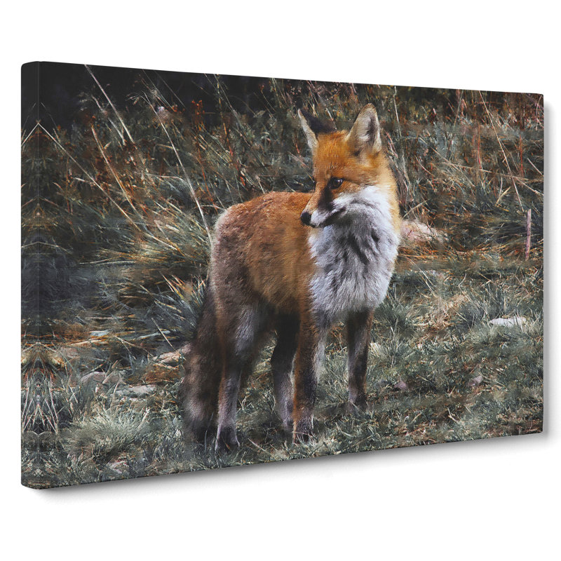 Red Fox Vol.2 - Wrapped Canvas Print, 40cm H x 60cm W x 3cm D