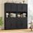 Kalauni 71" Kitchen Pantry Storage Cabinets with 2 Drawers-1127612016