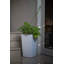 Modena Self-Watering Plastic Pot Planter-2056500681-2056500682