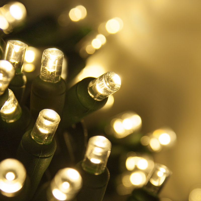 208'' LED String Lights, Warm White