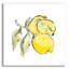 «Lemon Still Life II» par Chris Paschke-101632185