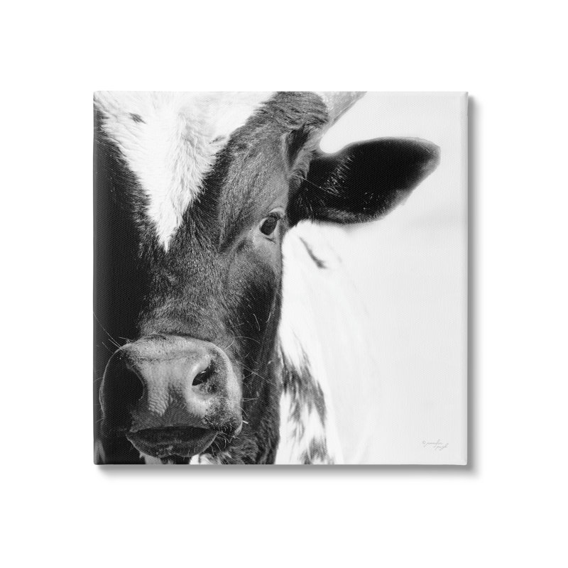 «Farm Farm Cow Stunning up Close» par Jennifer Pugh - photographie sur toile tendue, H 17 po x l 17 po x P 1,5 po