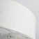 19.6'' Ceiling Fan with Light Kit and Remote Control Included
