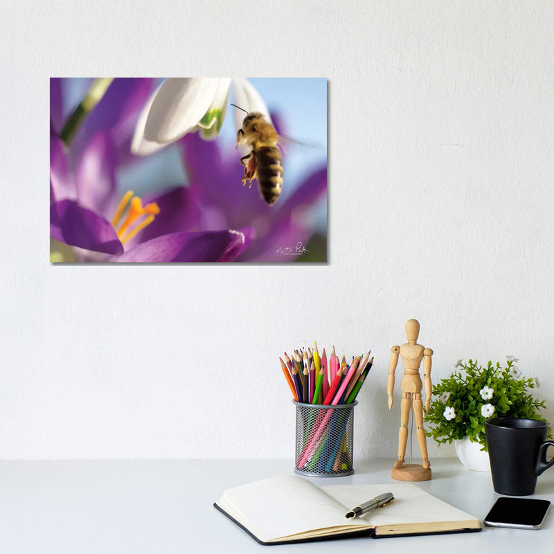 Bee I by Martin Podt - Wrapped Canvas Print, 20.32 cm H x 30.48 cm W