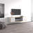 Ellen-Belle 64.6" Modern TV Stand with High Gloss Finish-729846060