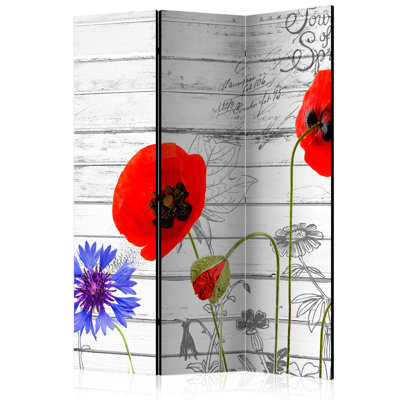 Hailye 135cm W x 172cm H 3 - Panel Solid Wood Folding Room Divider