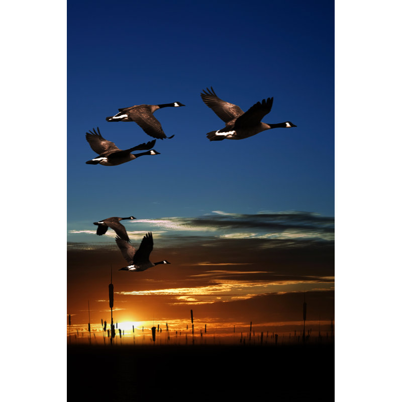 Migrating Canada Geese - Wrapped Canvas Print, 76cm H x 51cm W x 3.8cm D