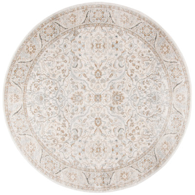Aayushi Performance Oriental Rug