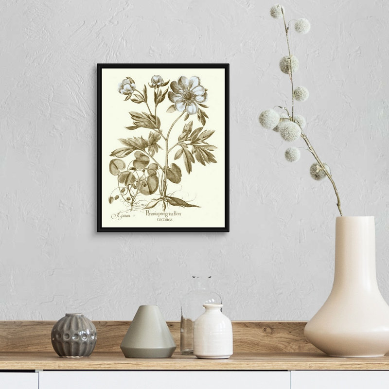 Spa pivoines III, art mural sur toile, Toile avec cadre noir, H 14 po x l 11 po x P 2 po