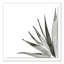Agave I Print by Jess Engle-48615481-48615482
