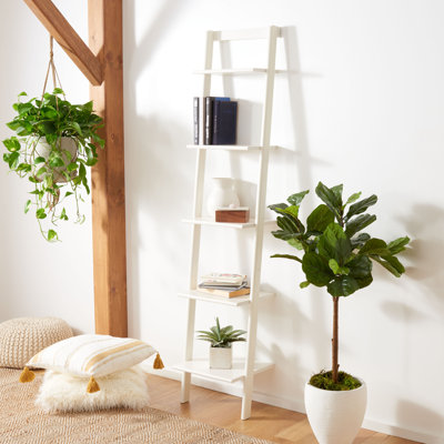 Joe Ladder Bookcase