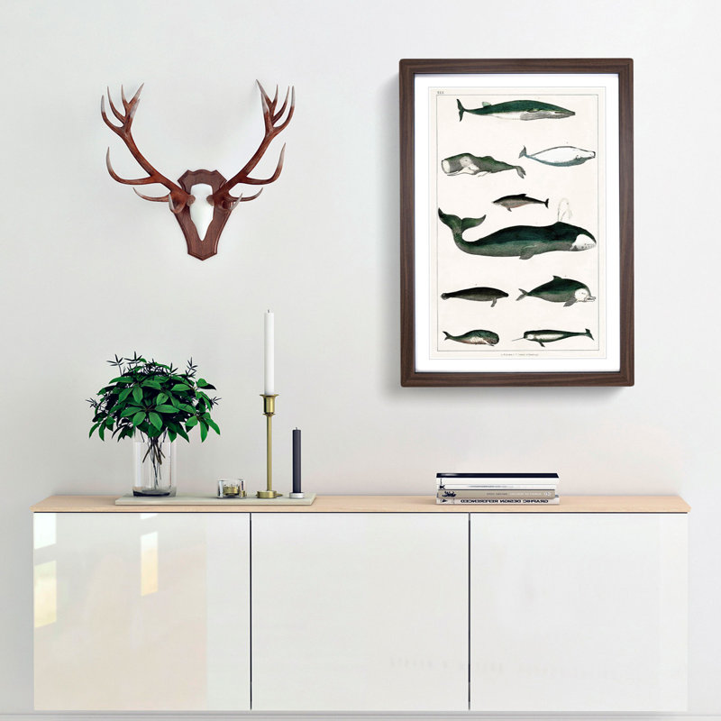 Various Whales XXX by Oliver Goldsmith - Picture Frame Painting Print, Walnut Framed, 27cm H x 36cm W x 2cm D
