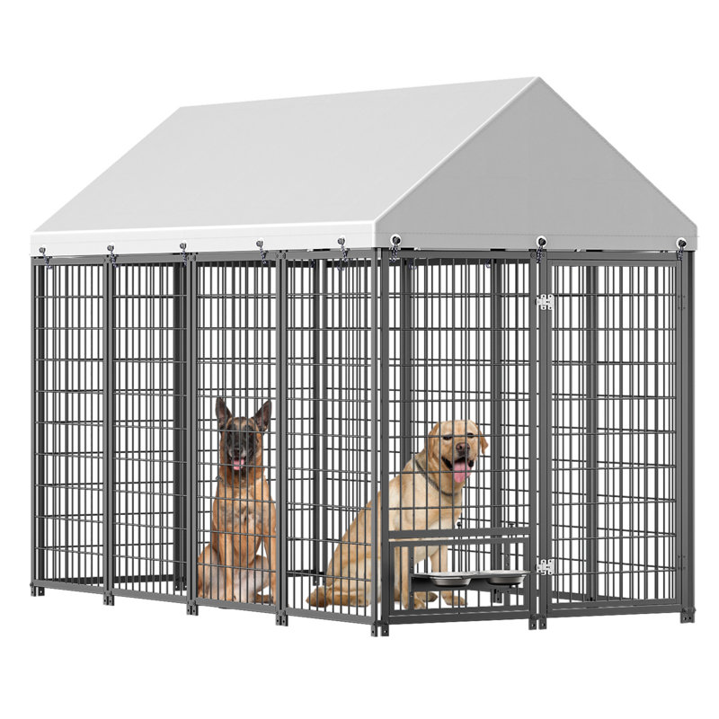 Grand enclos extérieur pour chien