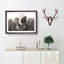 Border Collie Dog In A Meadow Painting - Single Picture Frame Print on MDF-56634460-56634461