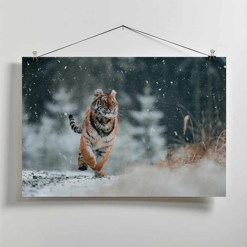 Wrapped Canvas Print