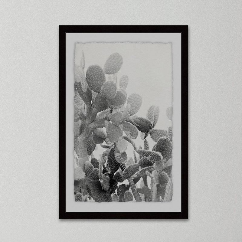 " Round Succulent Stems ", 24" H x 16" W x 1.5" D