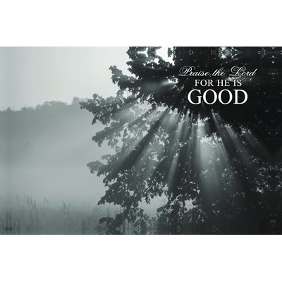 Praise Lord Sun - Wrapped Canvas Print