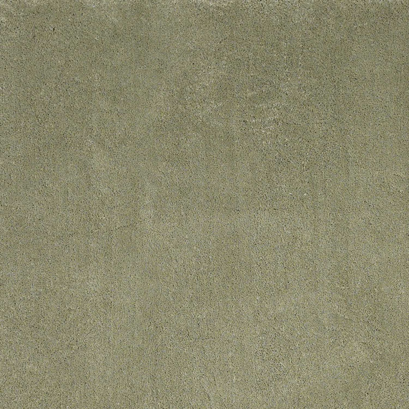 Indoor Rug