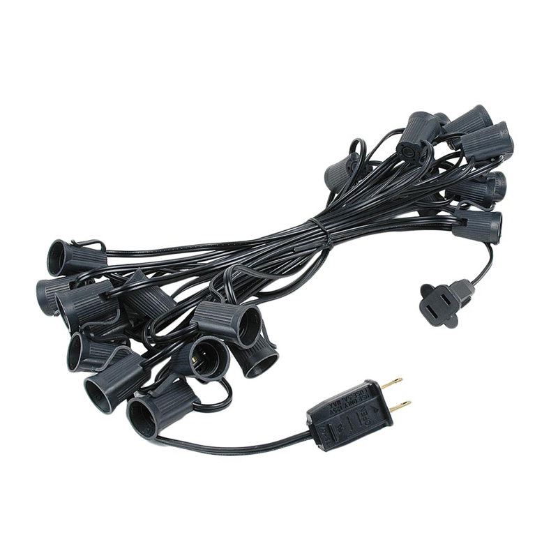 Blanchester Plug-in Globe String Light, 25 Feet, Black
