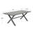 Allina 8 - Person Patio Dining Set with Rectangular Table , Cushions Included